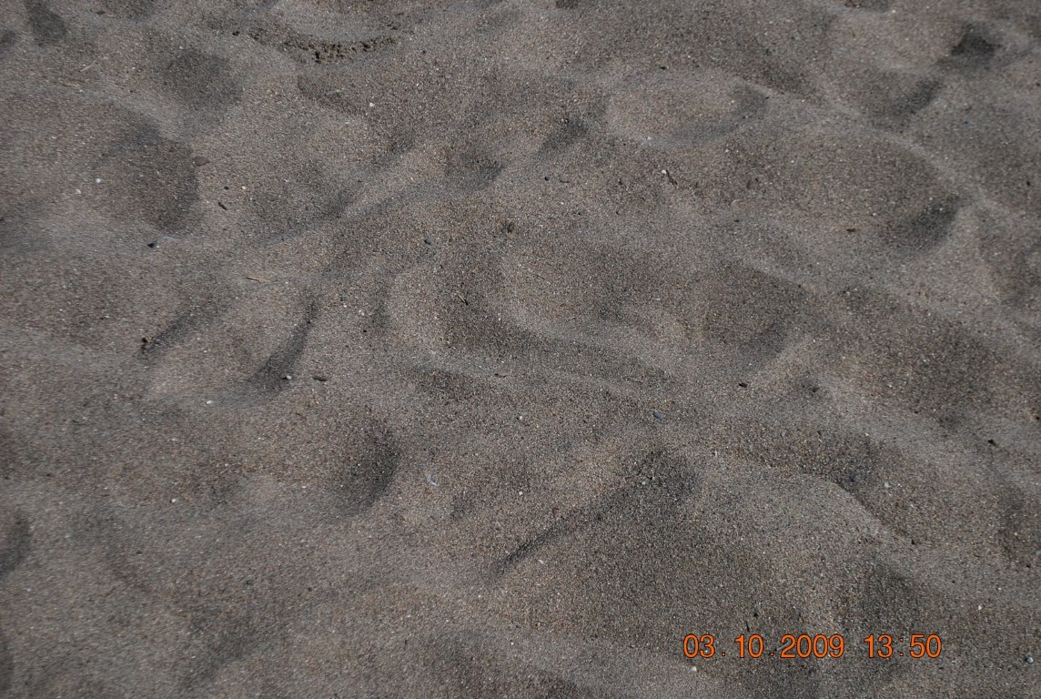 imagini hotel WOW TOPKAPI PALACE